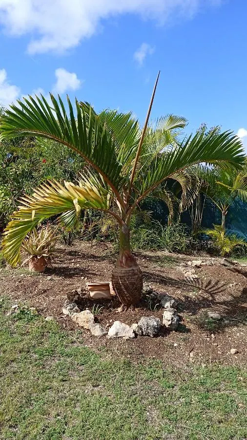2 L'Oranger, Residence De Depart De Vos Escapades Le Moule 0*,  Guadeloupe